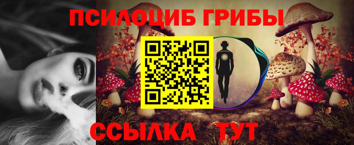Реутов  Псилоцибиновые грибы Psilocybine cubensis  купить наркоту  Вход с VPN 
